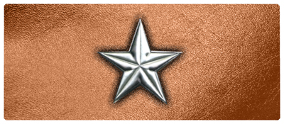 DNSEMP-L-430-SL-CP Star Silver-Copper